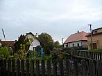 Třibřichy